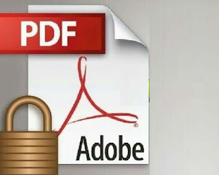 Protek PDF