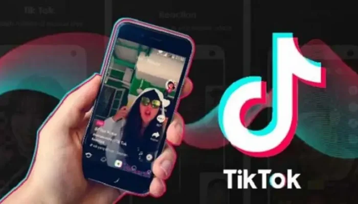 Cara Download MP3 TikTok Tanpa Watermark
