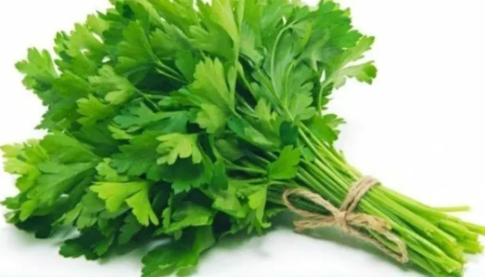 Mengulas Keajaiban Daun Seledri untuk Kesehatan Tubuh dan Saraf