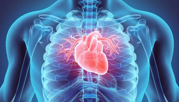 Makanan untuk Kesehatan Arteri dan Jantung Supaya Terbebas dari Penyumbatan