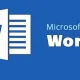 ms word
