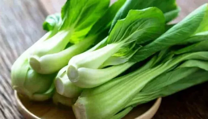 Sawi: Raja Sayuran Hijau Yang Kaya Manfaat