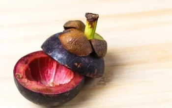 Manfaat Kulit Manggis untuk Kesehatan: Kandungan, Khasiat, dan Cara Konsumsi Aman