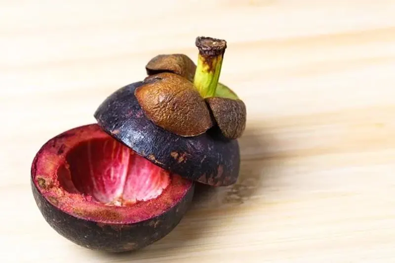 manfaat kulit manggis