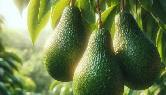 31 Juli Memperingati Hari Apa? Ini Deretan Peringatan Uniknya!