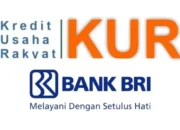 Syarat KUR BRI 2025 dan Cara Mengajukannya, Kini Bisa Tanpa Jaminan