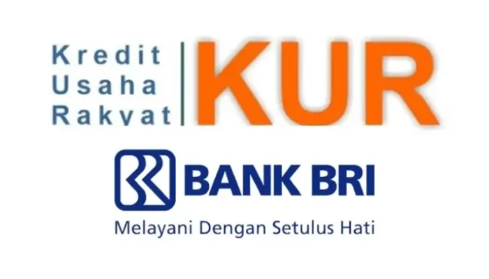 Syarat KUR BRI 2025 dan Cara Mengajukannya, Kini Bisa Tanpa Jaminan