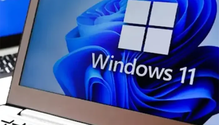 Cara Membersihkan Drive C di Windows 11 dengan Alat Disk Cleanup