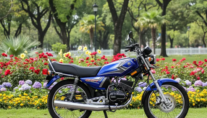 Apa yang Bikin Yamaha RX-King Makin Mahal?