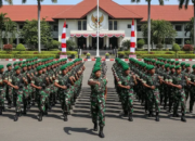 tentara nasional indonesia