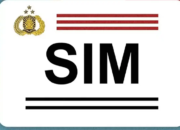 Bikin SIM Digital Cuma Butuh 5 Menit, Gratis dan Praktis Tanpa Ribet