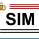 ilustrasi sim
