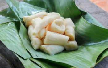 Manfaat Tape Singkong untuk Kesehatan, Makanan Fermentasi yang Baik untuk Pencernaan hingga Tambah Energi