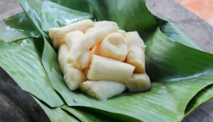 Manfaat Tape Singkong untuk Kesehatan, Makanan Fermentasi yang Baik untuk Pencernaan hingga Tambah Energi