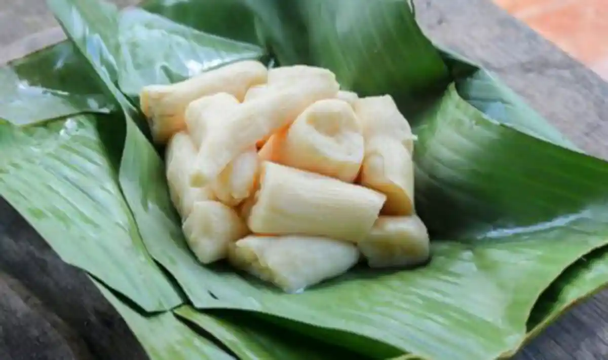 tape singkong
